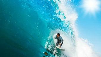 娱乐吃瓜冲浪社